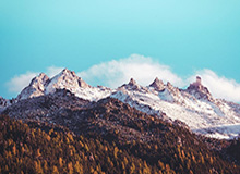 开云中国：让梦想照进现实的品牌之旅